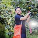 창원농장 이미지