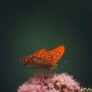 부산수영구청소년상담복지센터