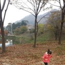 개나리공원 화장실 이미지