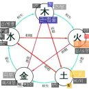 약식동원 구별5종 귀갑 남생이등 자라 게 방게 약성 복용 이미지