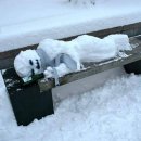 강남화원 이미지