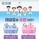한국체대국제태권도 이미지