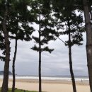 친환경엘샤론머리염색