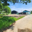 대곡2리 이미지