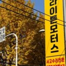M-1 모터스 이미지
