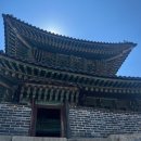 [마지막 한국여행] 야구보러 가는 김에 수원 여행! 대전역 성심당, 장안문, 행궁동, 케이티위즈파크...