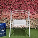 오늘도 힘차개 이미지