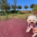 철마가든 이미지