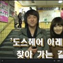 호림수타 Daum카페