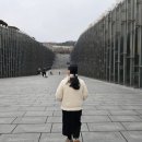 지서니 | 윤하 콘서트 후기, 빛나는겨울 소극장 콘서트 20260118(일), <스포 주의>