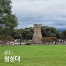 월성체육시설 | 경주 첨성대 입장시간 핑크뮬리 해바라기 (주차장 팁)