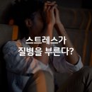 씨에이치상사
