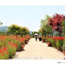 요산공원 이미지