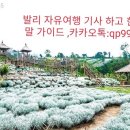 에델바이스화원 이미지