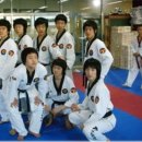 백호타이거즈태권도 이미지