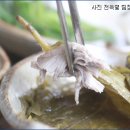 청둥이청둥오리 이미지