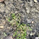 한스메디팜 이미지