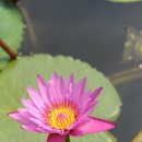 최우진행복한의원 이미지