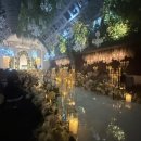 칼라스 친구들 | [웨딩홀 투어1] 더베뉴지서울: 베뉴지홀 &amp; 마리아칼라스홀 비교 후기