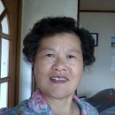 효헌사 이미지
