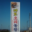 바보오리농장 이미지