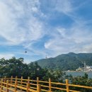 아라마루 이미지