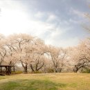 트래블공주