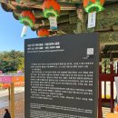 청계로 | 의왕가볼만한곳 우담바라 핀 청계사 역사 및 사찰 관람후기