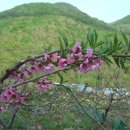 금보농장 이미지