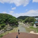 초입새 계곡 이미지