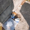 대동카정비 이미지