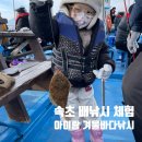 추억이머무르는곳 | 속초 배낚시 체험 장사항 동광호 아이랑 겨울낚시 후기