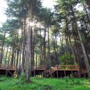 유식물원 관광농원 이미지