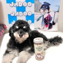 롱런하개 | 강아지 닭가슴살 동결건조 간식 추천! 롱런하개 치킨트릿 후기