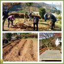 한국기독교 장로회 여수 중부교회 남신도회 이미지