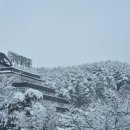 세웅 약국 | 1/1-안녕 2025년!