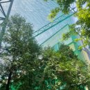 포일 골프 연습장 이미지