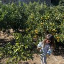 금동농장 이미지