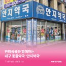 안지약국 이미지