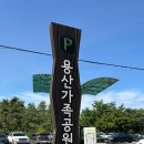 용산-235 | 서울 용산가족공원 피크닉 준비물 용산공원 반환부지 나들이 후기
