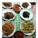 솔베르크 이미지