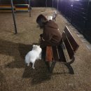 까망봉다리 이미지