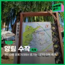 가을느낌 가득한 버킷백 가죽소품 공예 | 양림동 펭귄마을 공예거리에서 즐기는 예술 축제🙌 양림 수작｜광주 축제｜광주 가을 나들이