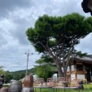 전통한옥 | [거제면 전통 한옥카페] 더외간 내돈내산 후기