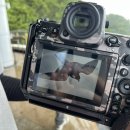 씨제이올리브영(주) 올리브영광복타운 | 3일 혼자여행 | 수국과 능소화의 계절에 꽃구경 | 영도 하리타운, 분홍집, 태종사, 충렬사, 월륜사, 숲캉스