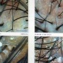 닥터모락 안성점 이미지