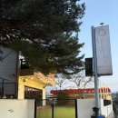 동해의아침펜션 | 동해 애견펜션 너랑온 강아지조식 나오는 망상해수욕장 근처 묵호 애견동반 숙소 후기