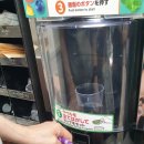 블루베리 편의점 이미지