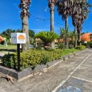 안녕감귤 제주독채펜션 | 제주도 숙소 안녕감귤 제주독채펜션 감성숙소 조식 내돈내산