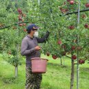 정명호농장 이미지